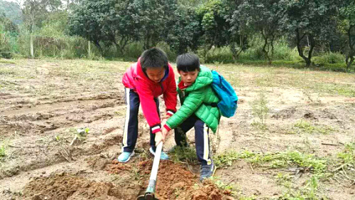 深圳九龍山生態園公司出游+親子互動+朋友聚會一日游方案