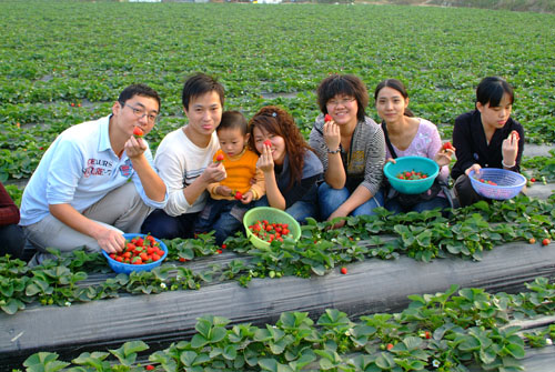 深圳觀瀾九龍山生態園避暑山莊夏季游玩好地方