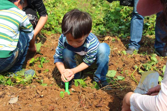 深圳匯龍幼兒園九龍山生態園戶外活動一日游